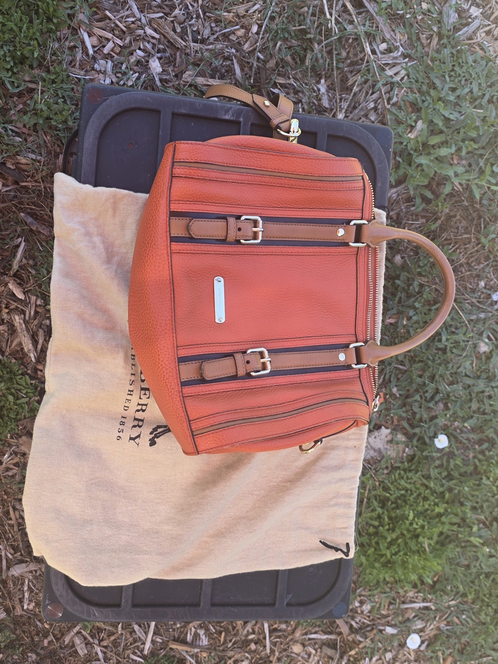 Burberry Leather Satchel in Red & Brown